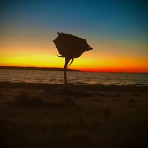 Meet your Posher, Blake